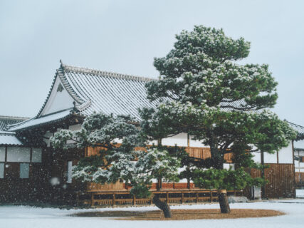 佐賀市でも雪が降りました。