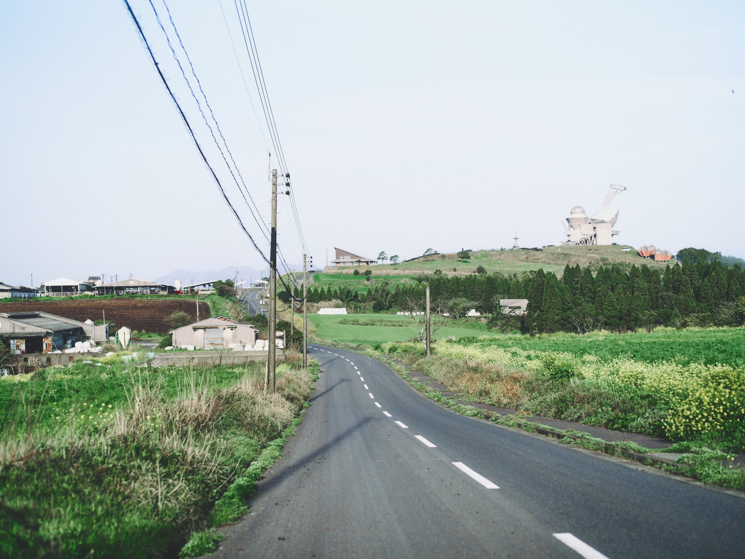 北海道みたいな道。