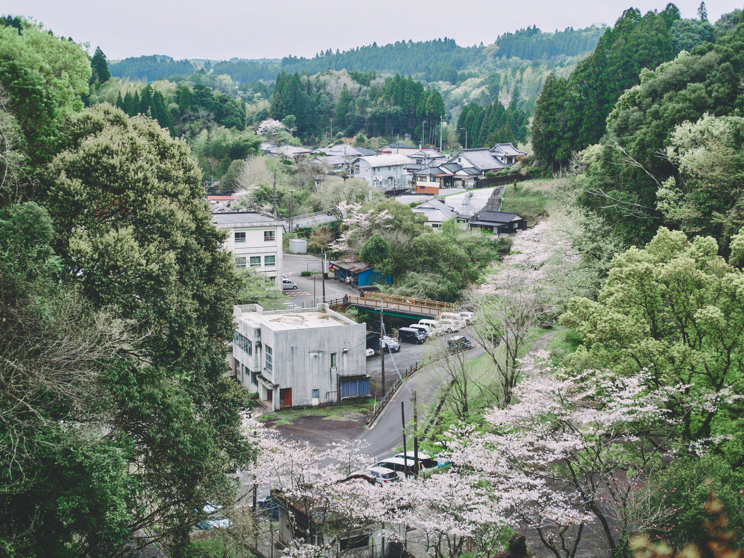 駐車場から、桜とまちなみ。