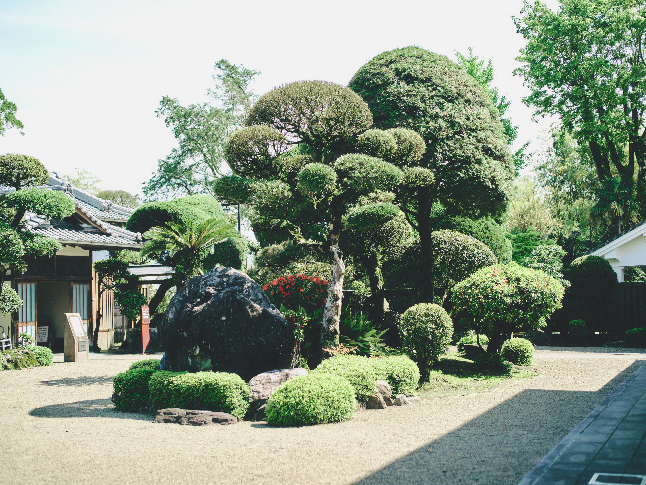 立派な庭だ。この庭も、薩摩を感じる。