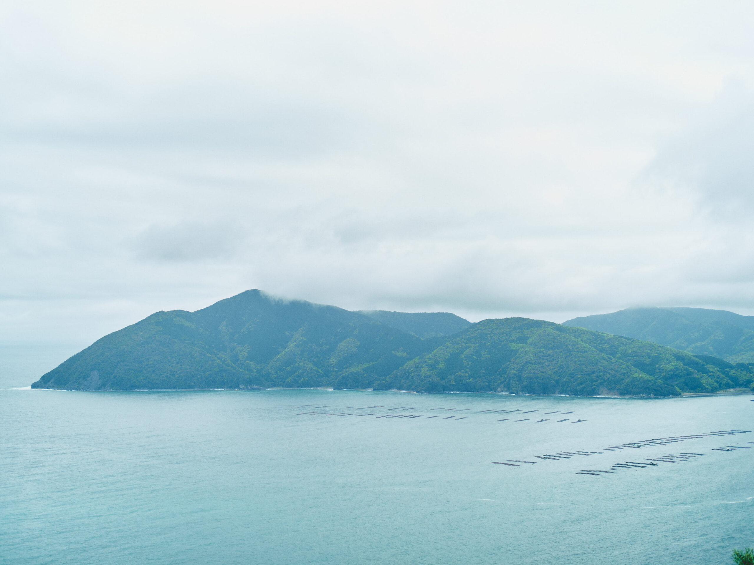 海を見渡すことができた。