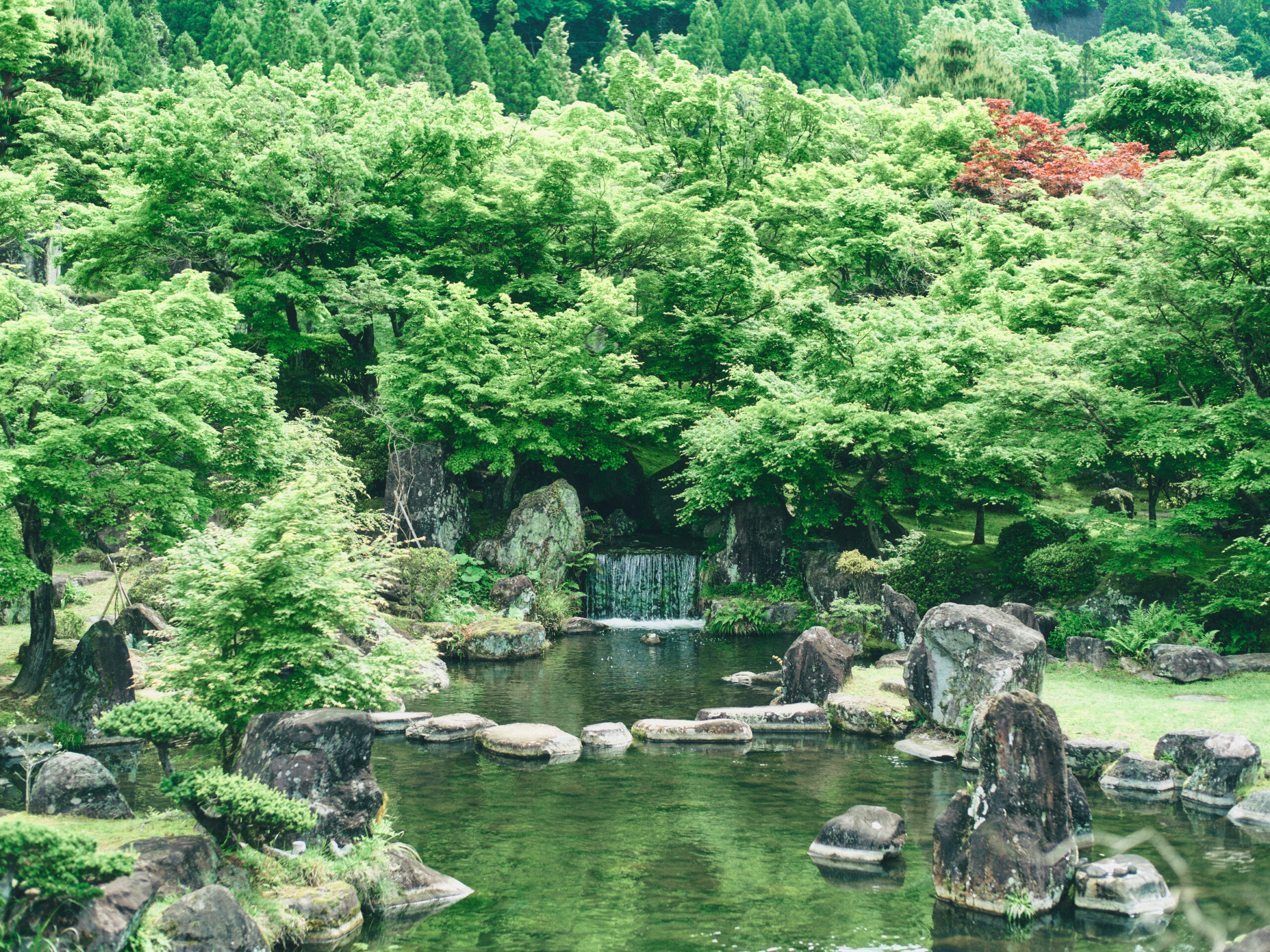 水も豊か。