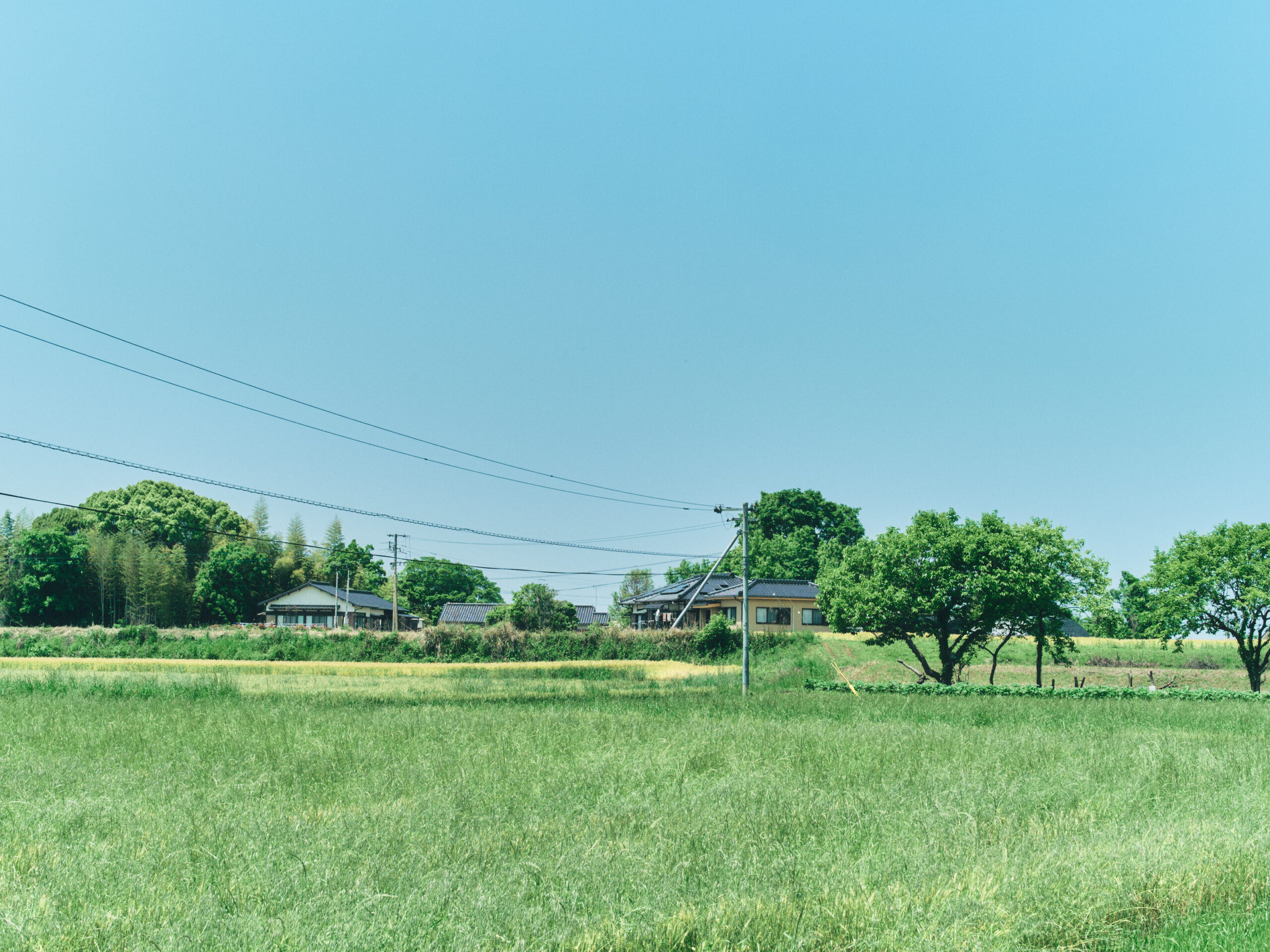 少し、標高の高い地域。