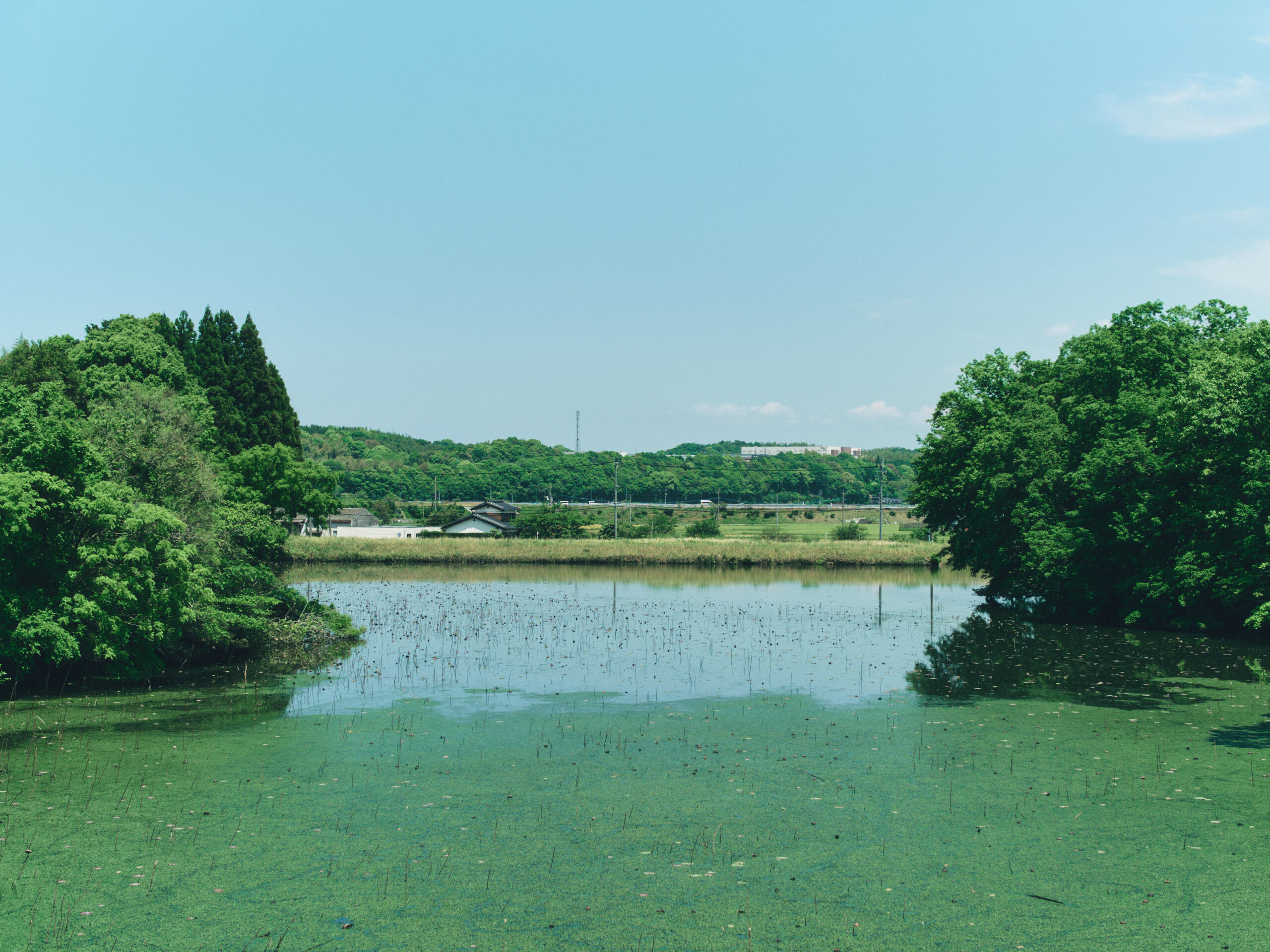 ため池かな。