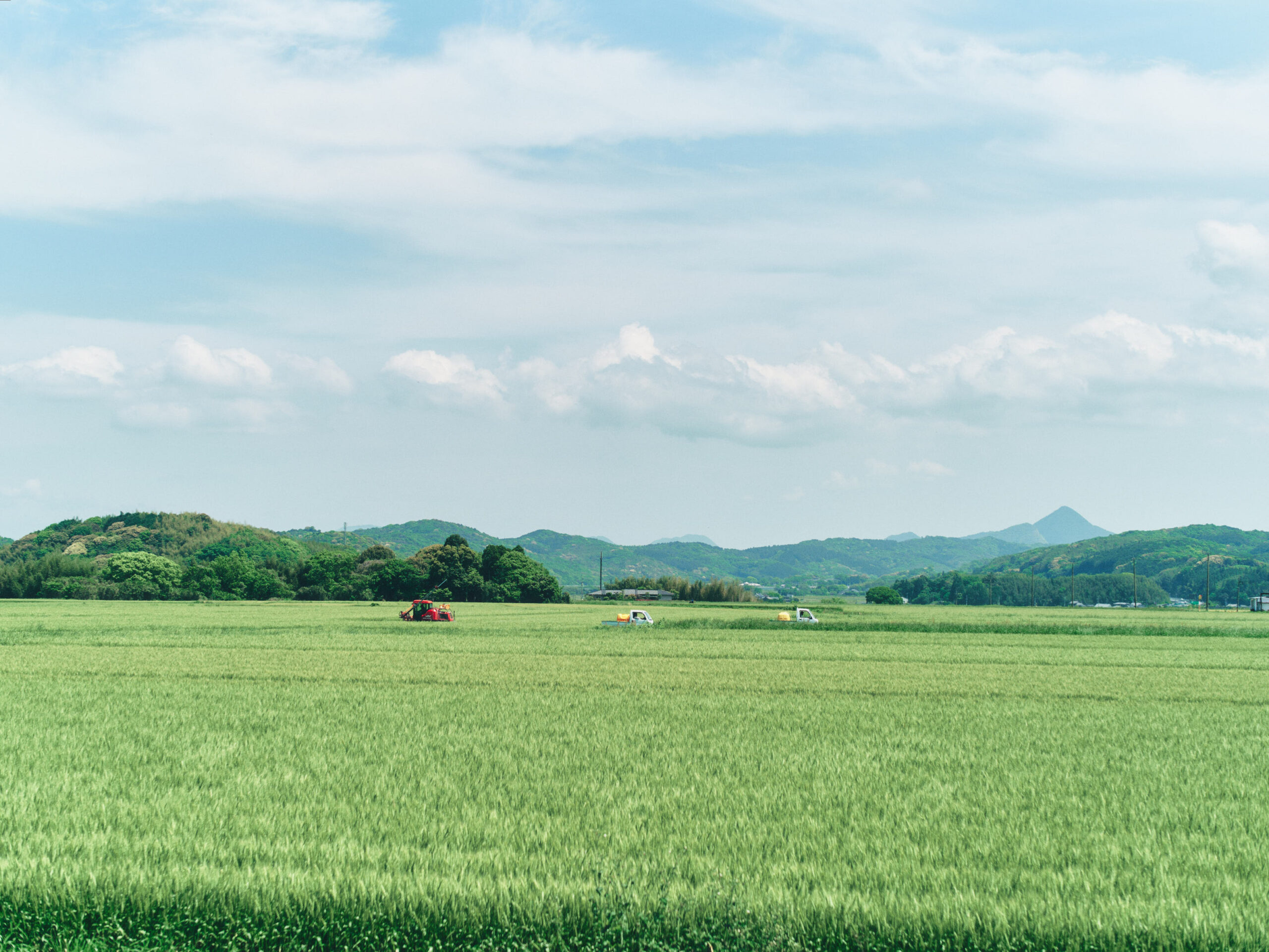 いい風景だなあ。