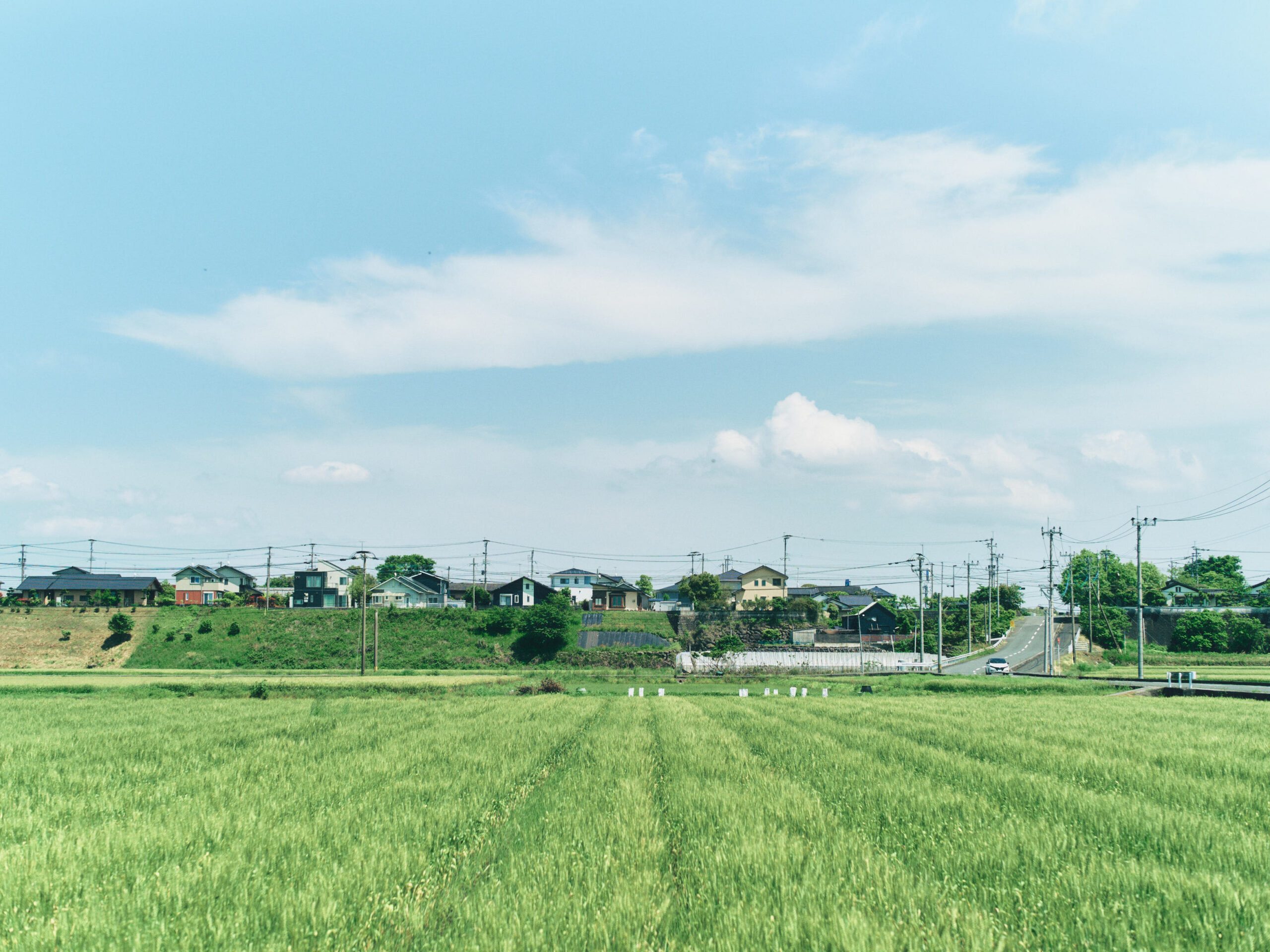 住宅も並ぶ。