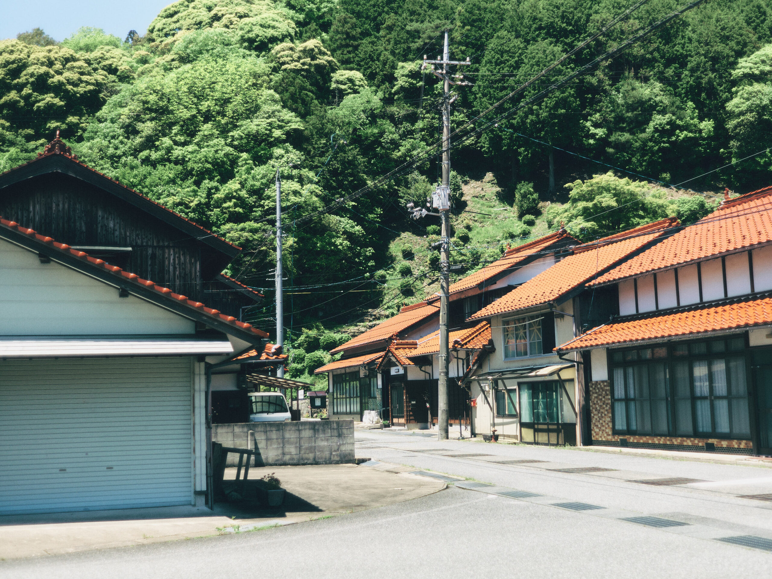 見事な雰囲気だなあ。