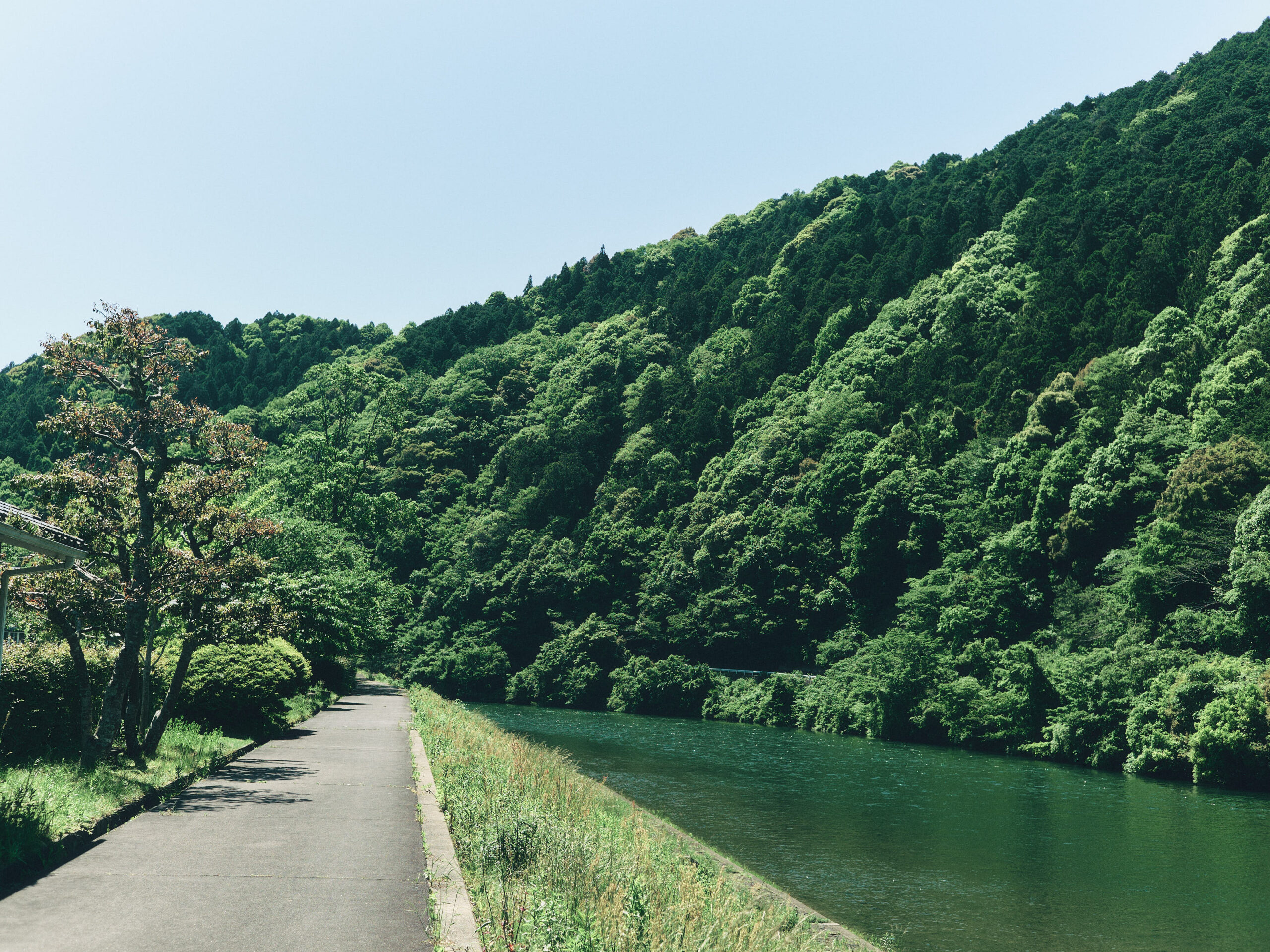 旧川上村へ。阿武川だ。