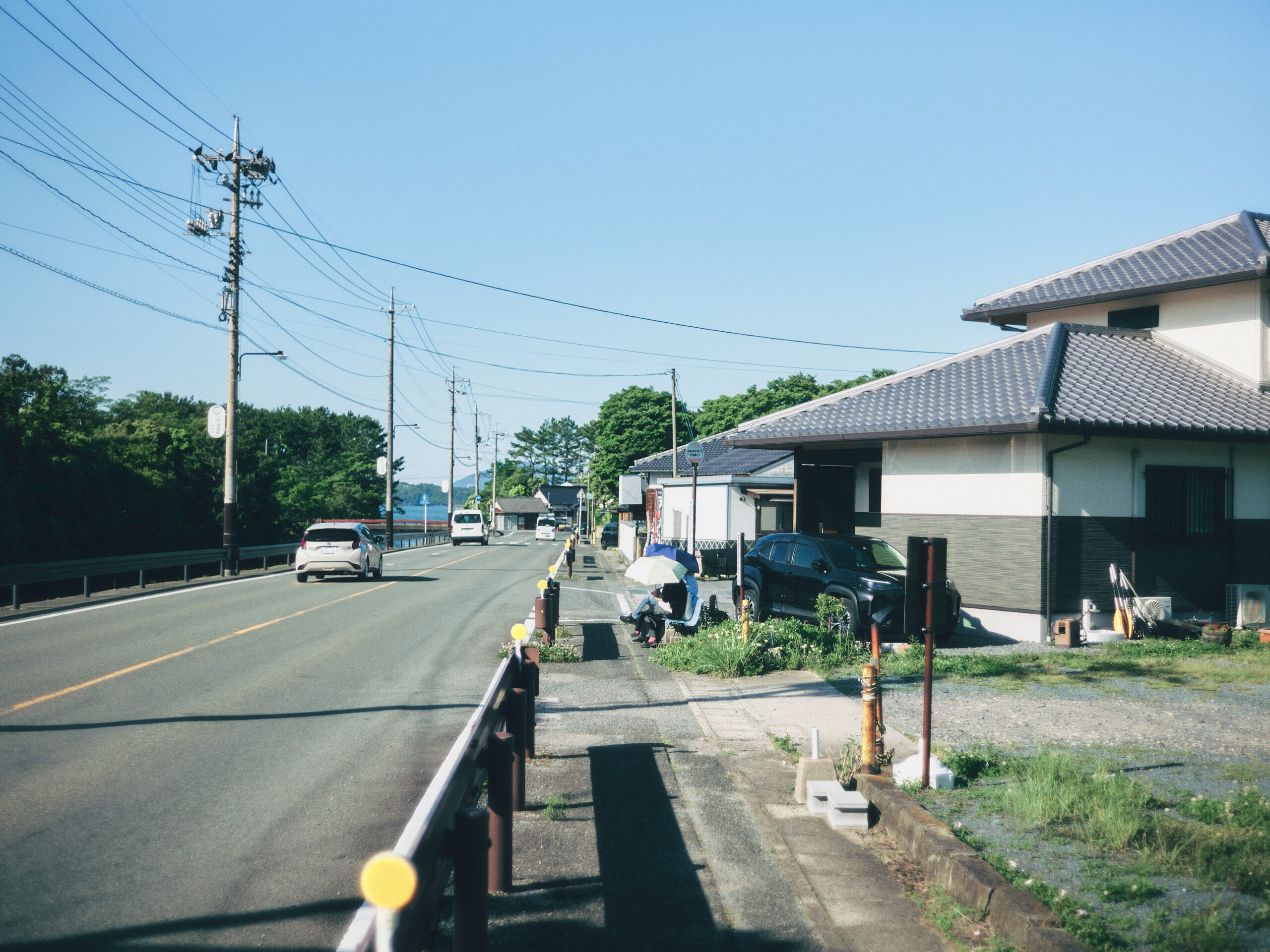 日差し。