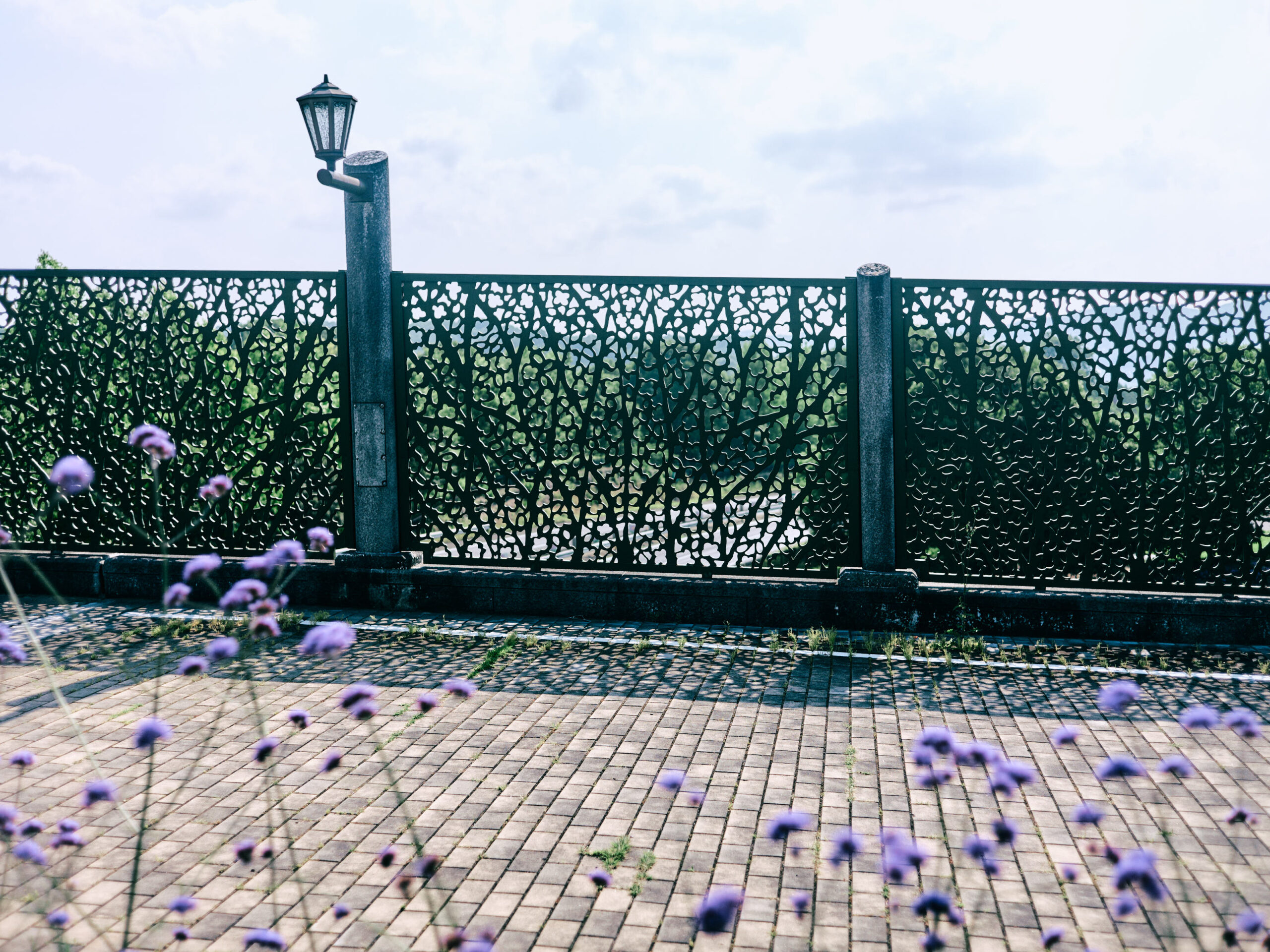 花と橋と。
