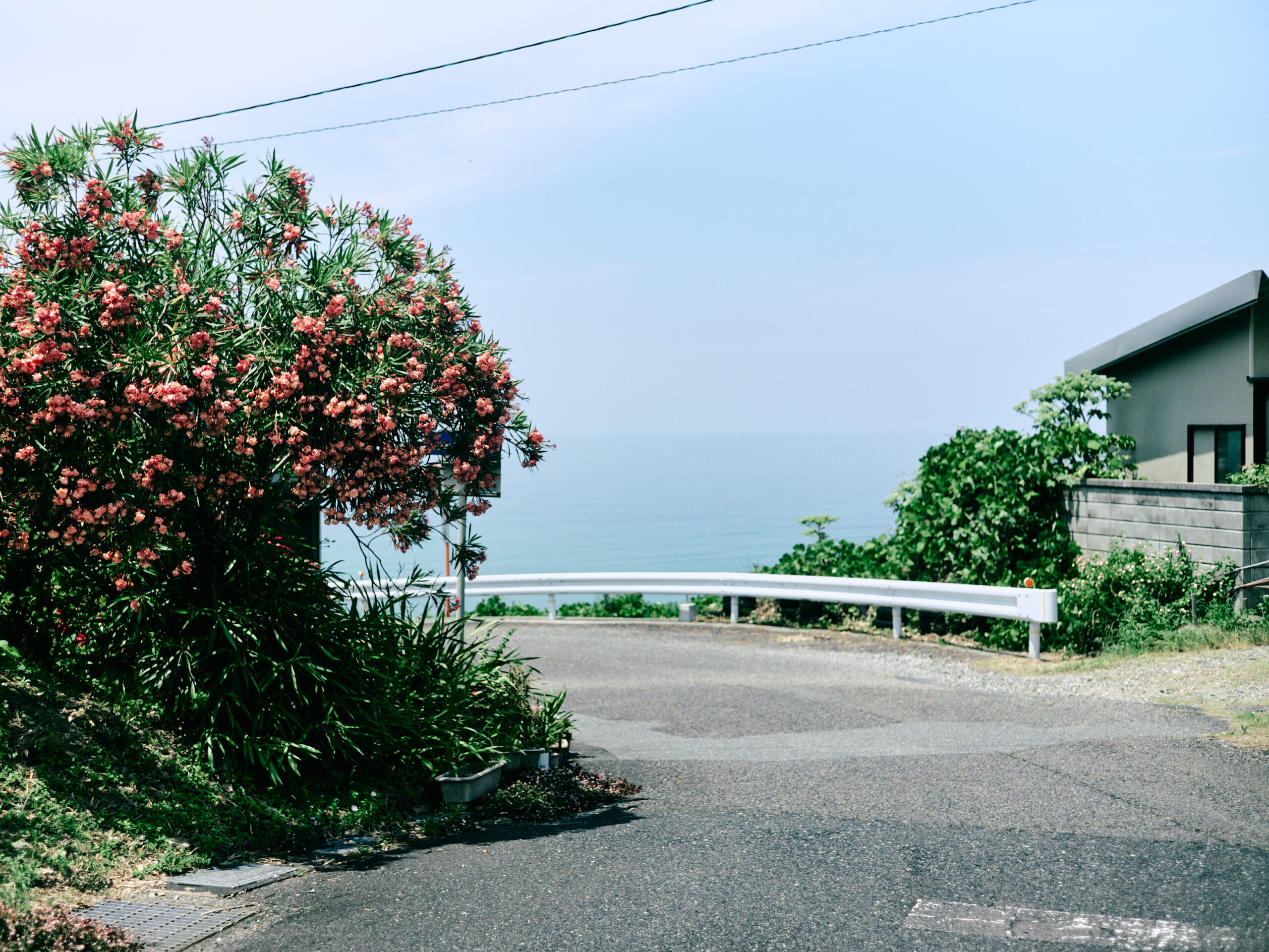 道の駅近くで、久しぶりに日本海を見た。