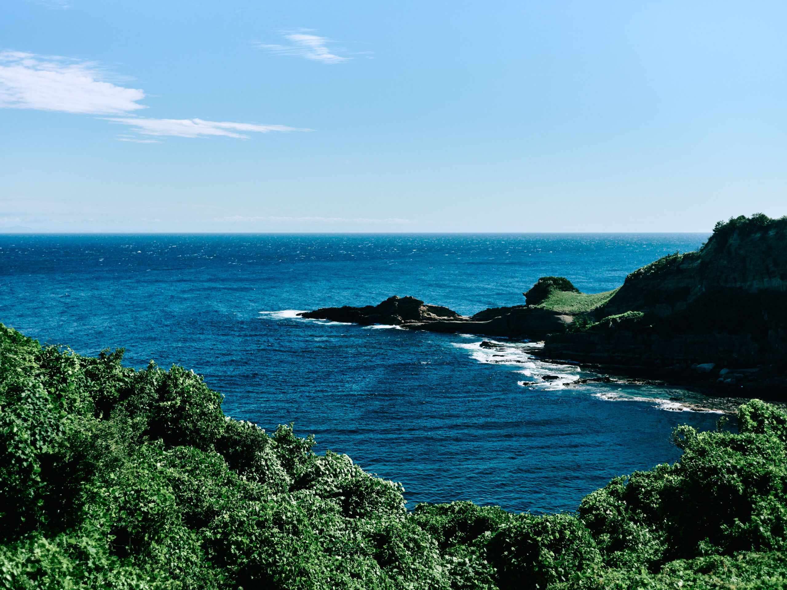 海が見事だった。