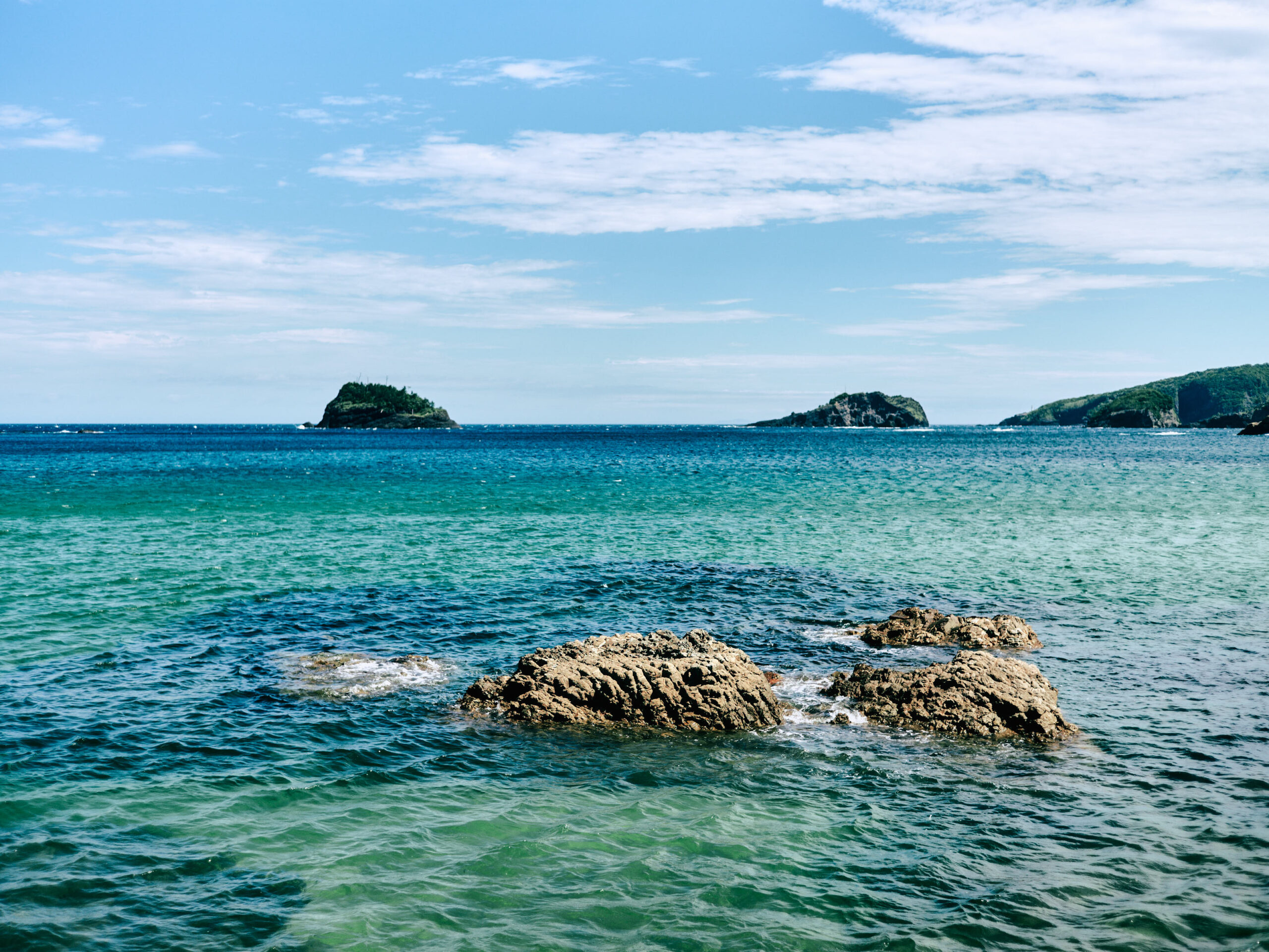 透明な海だ。