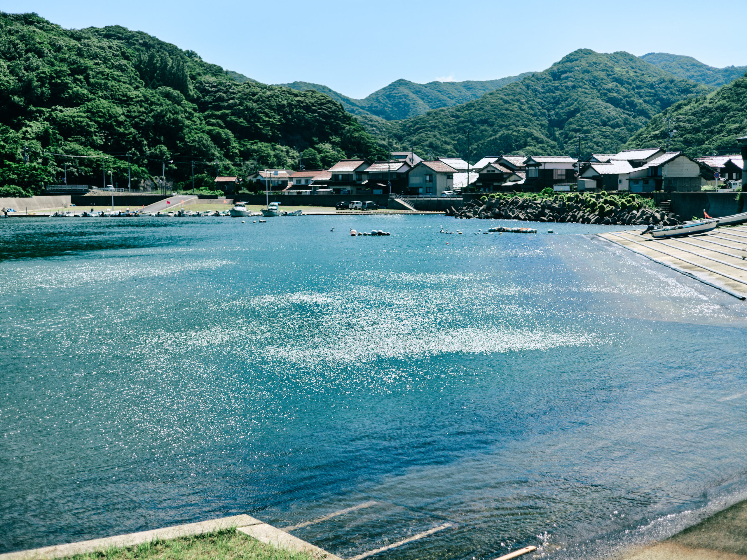 風で光が動く。