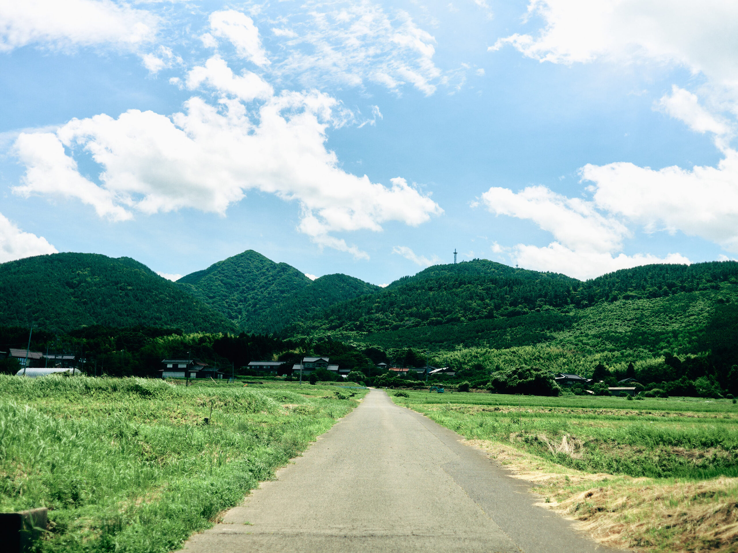 その後、大山町を進む。