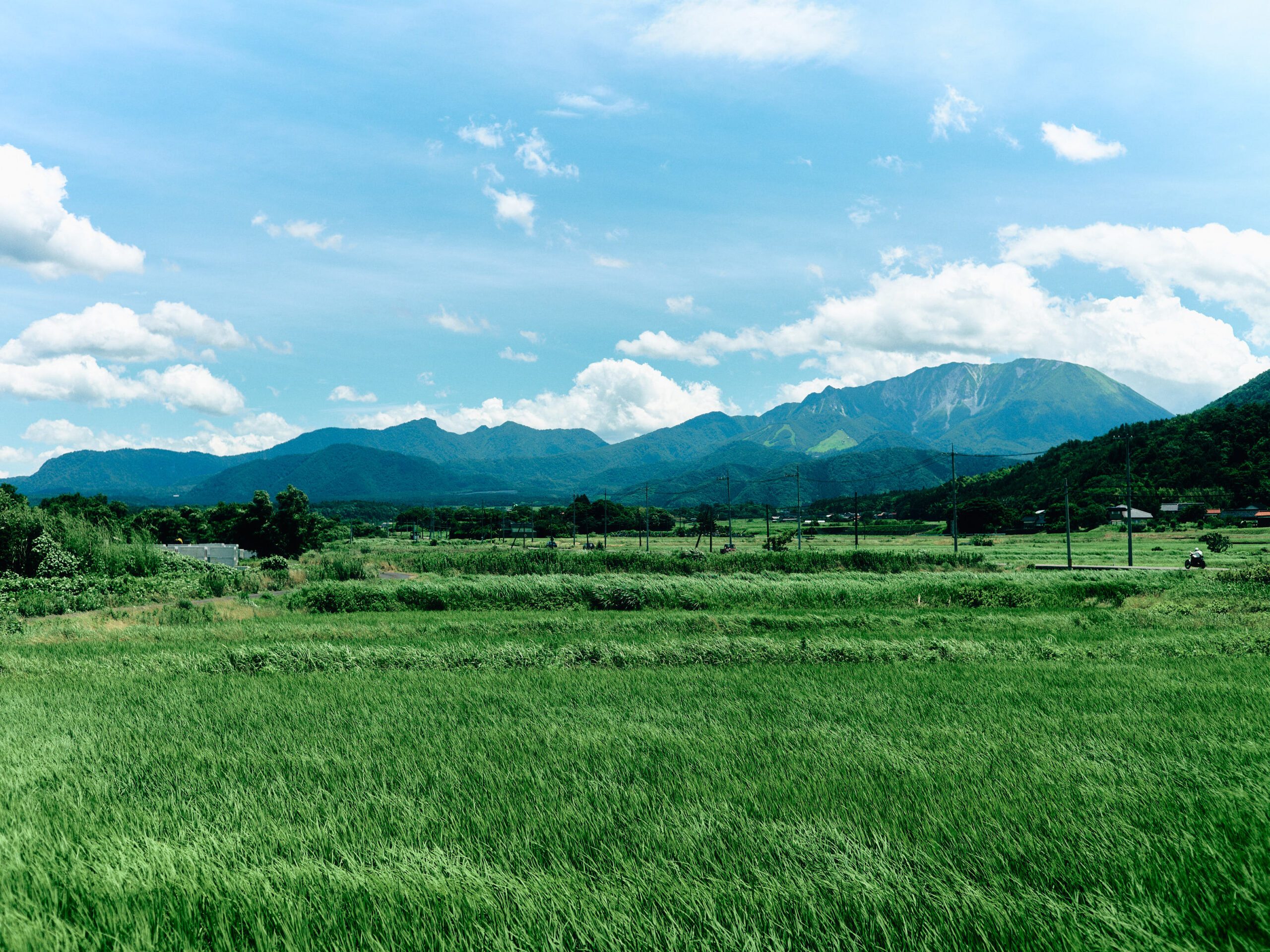 見事な風景。