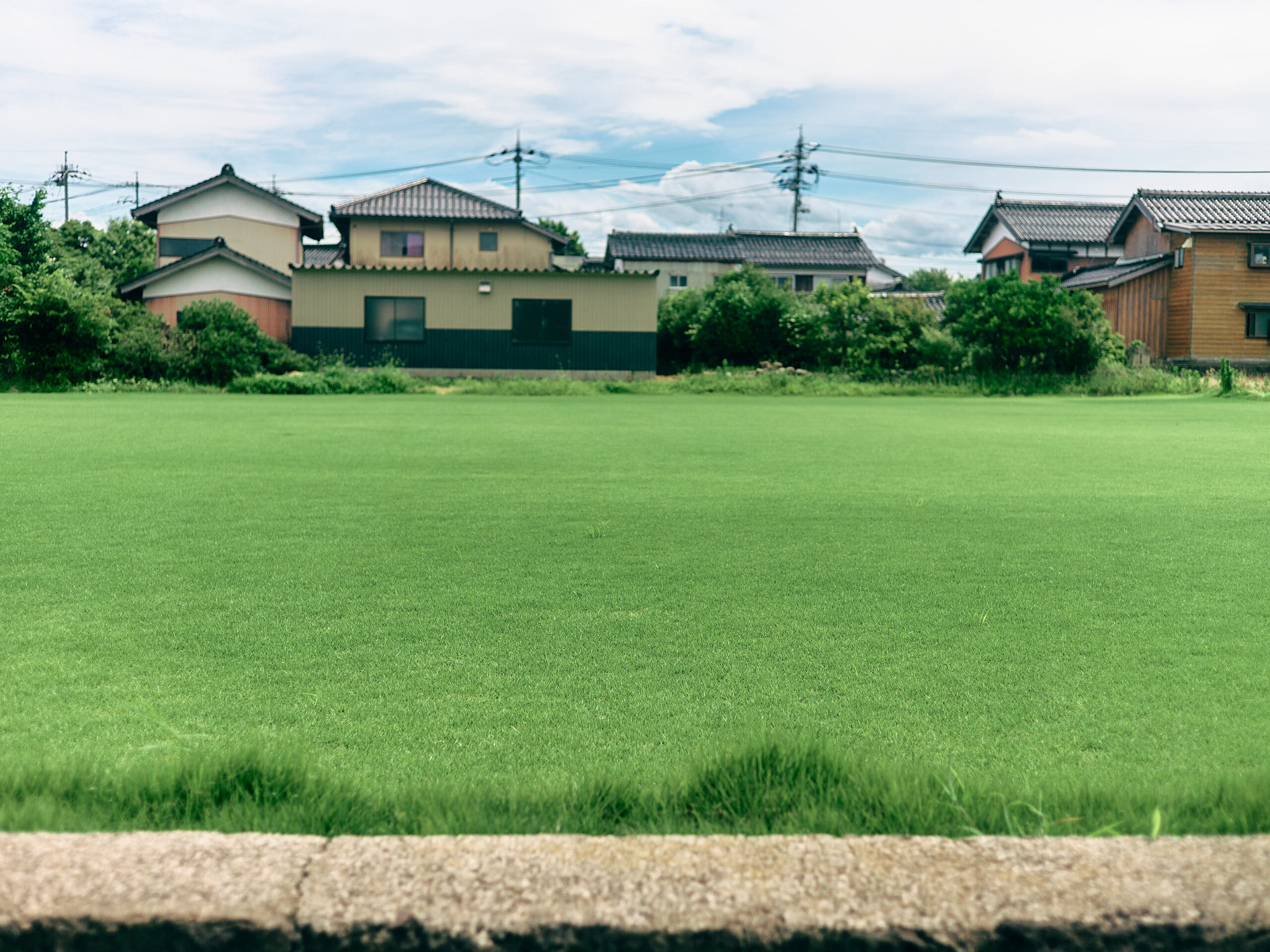 芝生もちょくちょく植えられている。