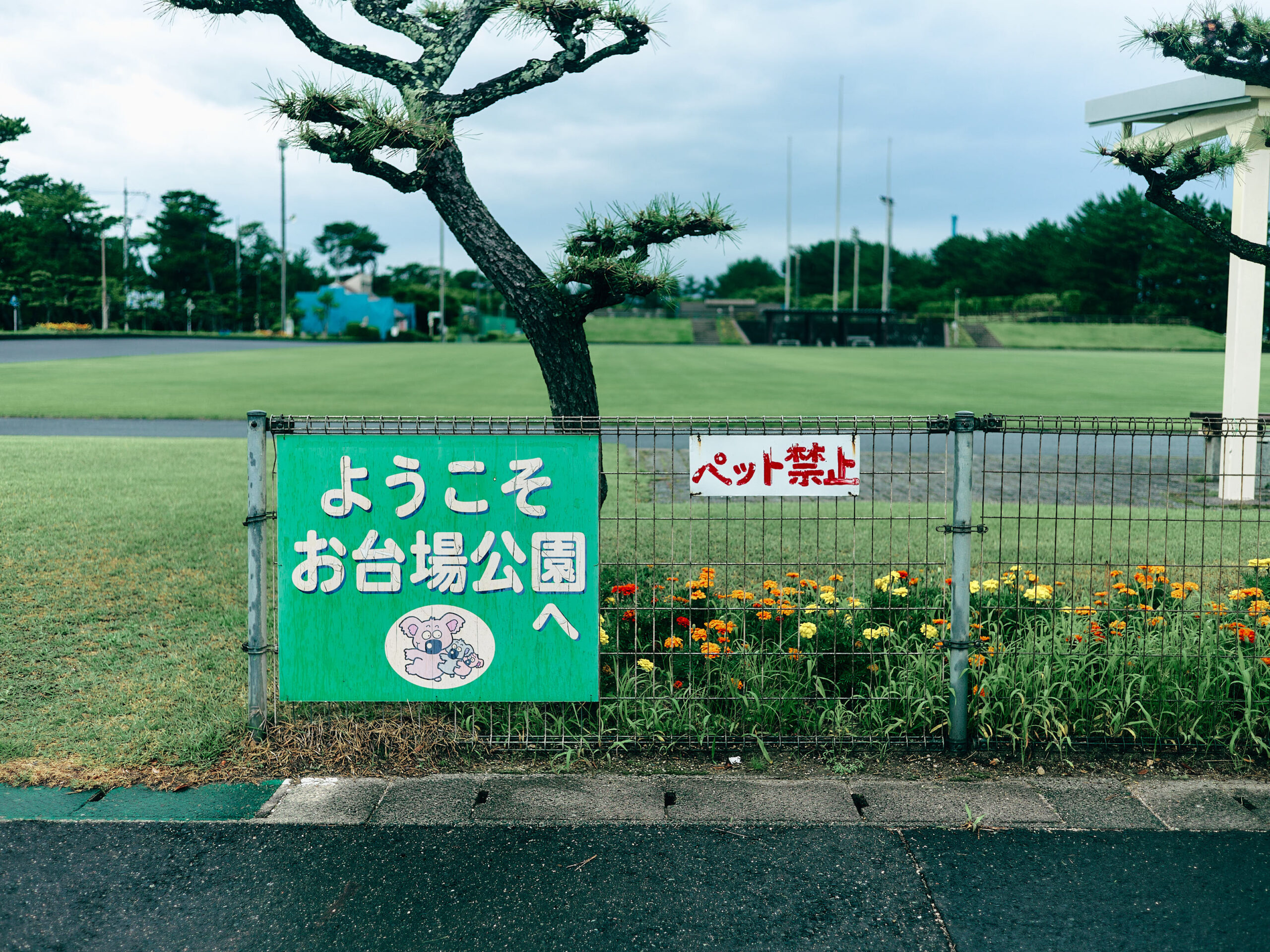 お台場だ。