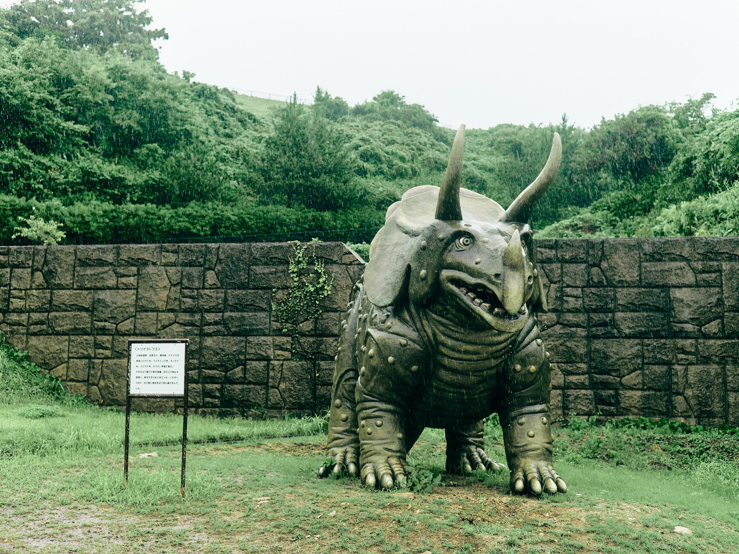 トリケラトプス。