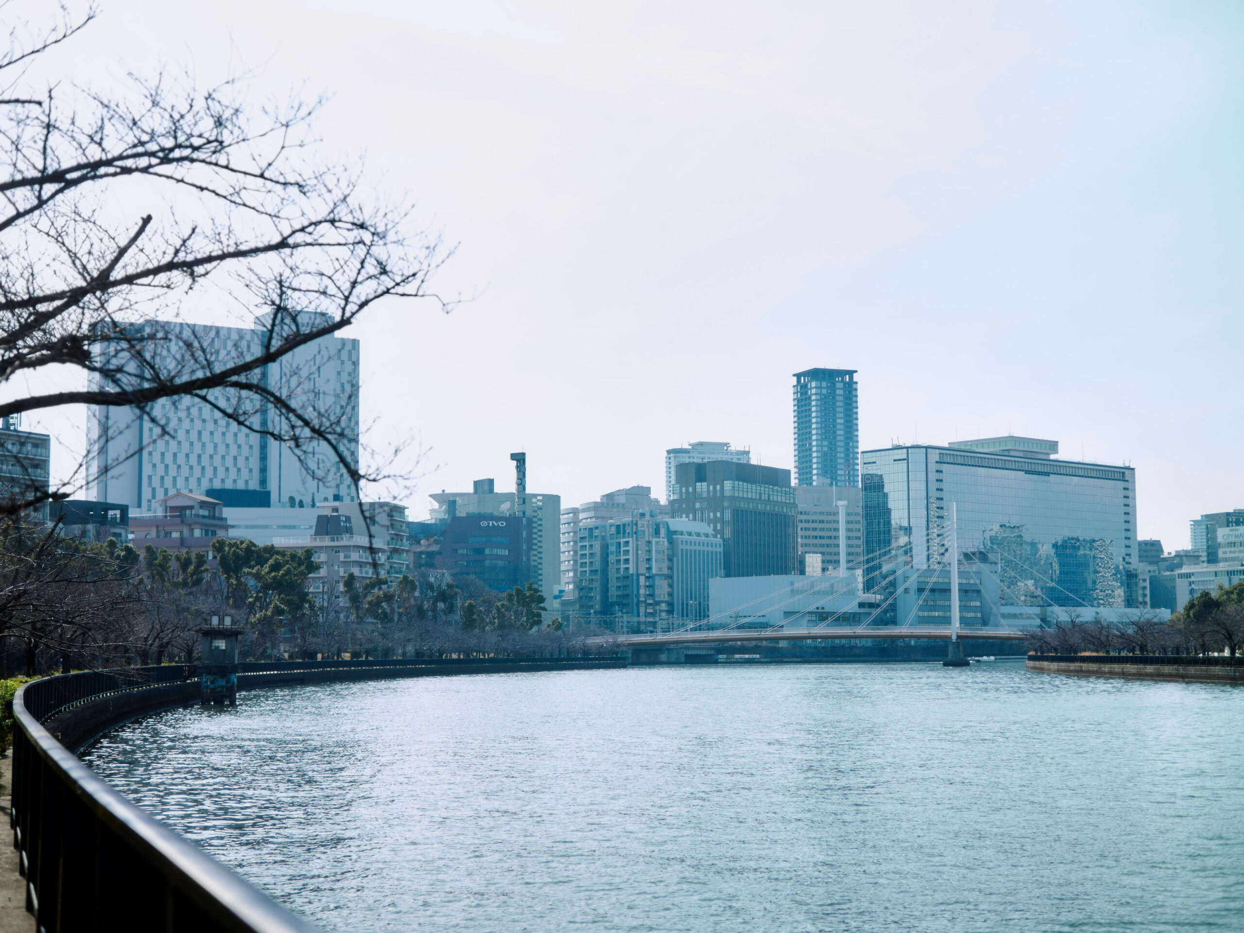 電車と徒歩で大阪市の旅へ。【旧市町村一周の旅（大阪府）｜1月12日―647日目）】