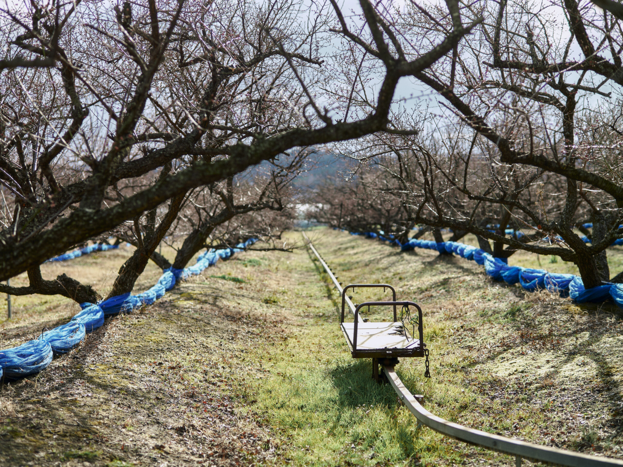 南部川と日高川沿いの暮らしへ。【旧市町村一周の旅（和歌山県）｜2月11日―677日目）】