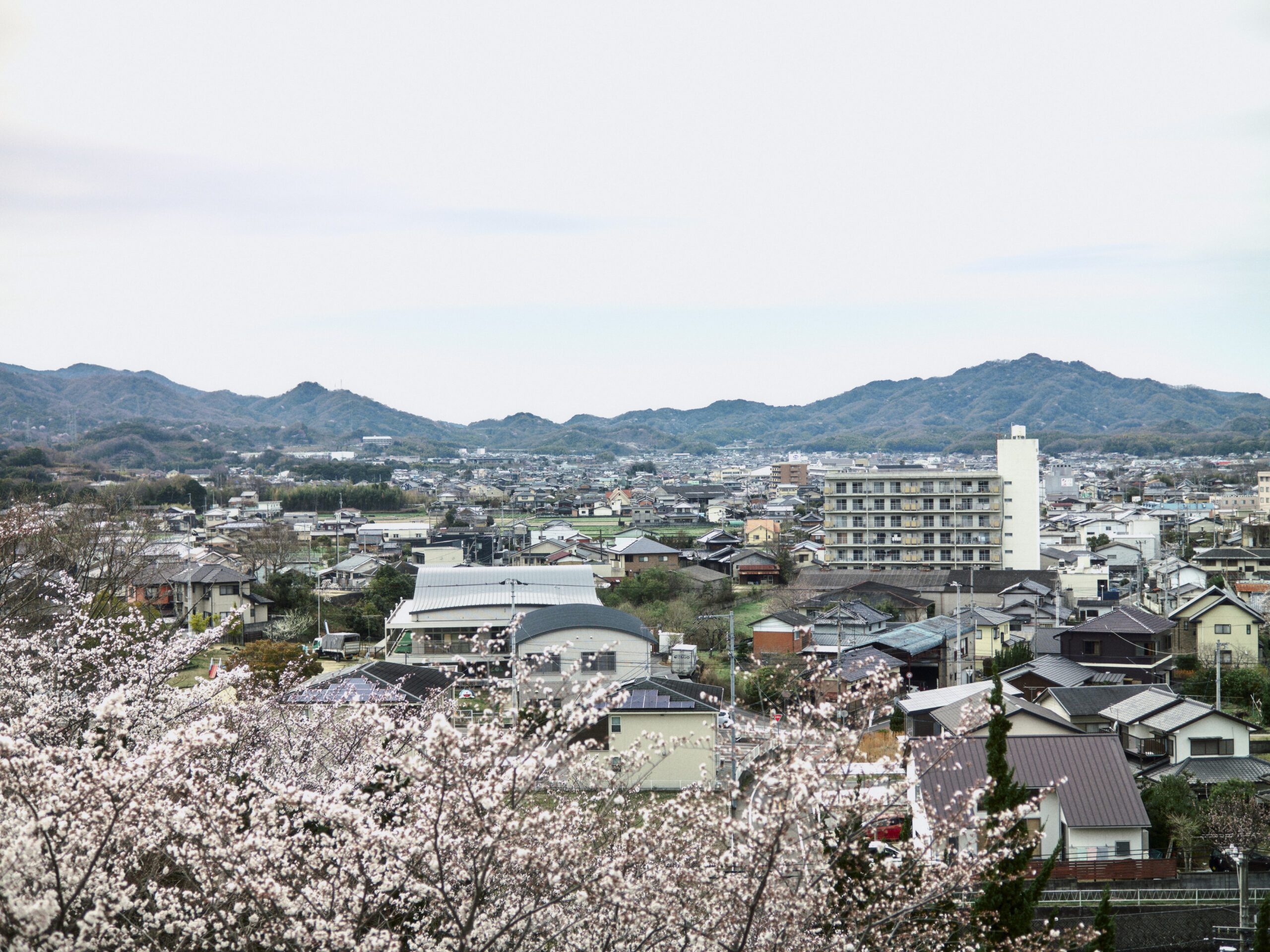 徳島県から香川県へ。【旧市町村一周の旅(徳島県ー香川県)|3月31日―725日目】