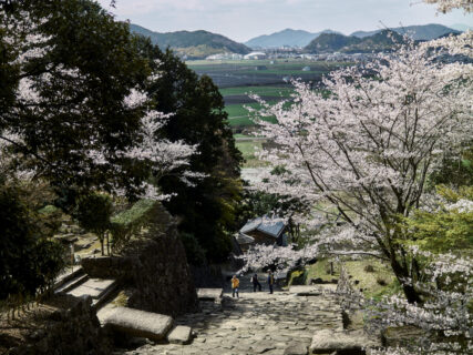 滋賀県へ。ここからはレンタカーの旅。【旧市町村一周の旅（滋賀県）｜4月9日―734日目】