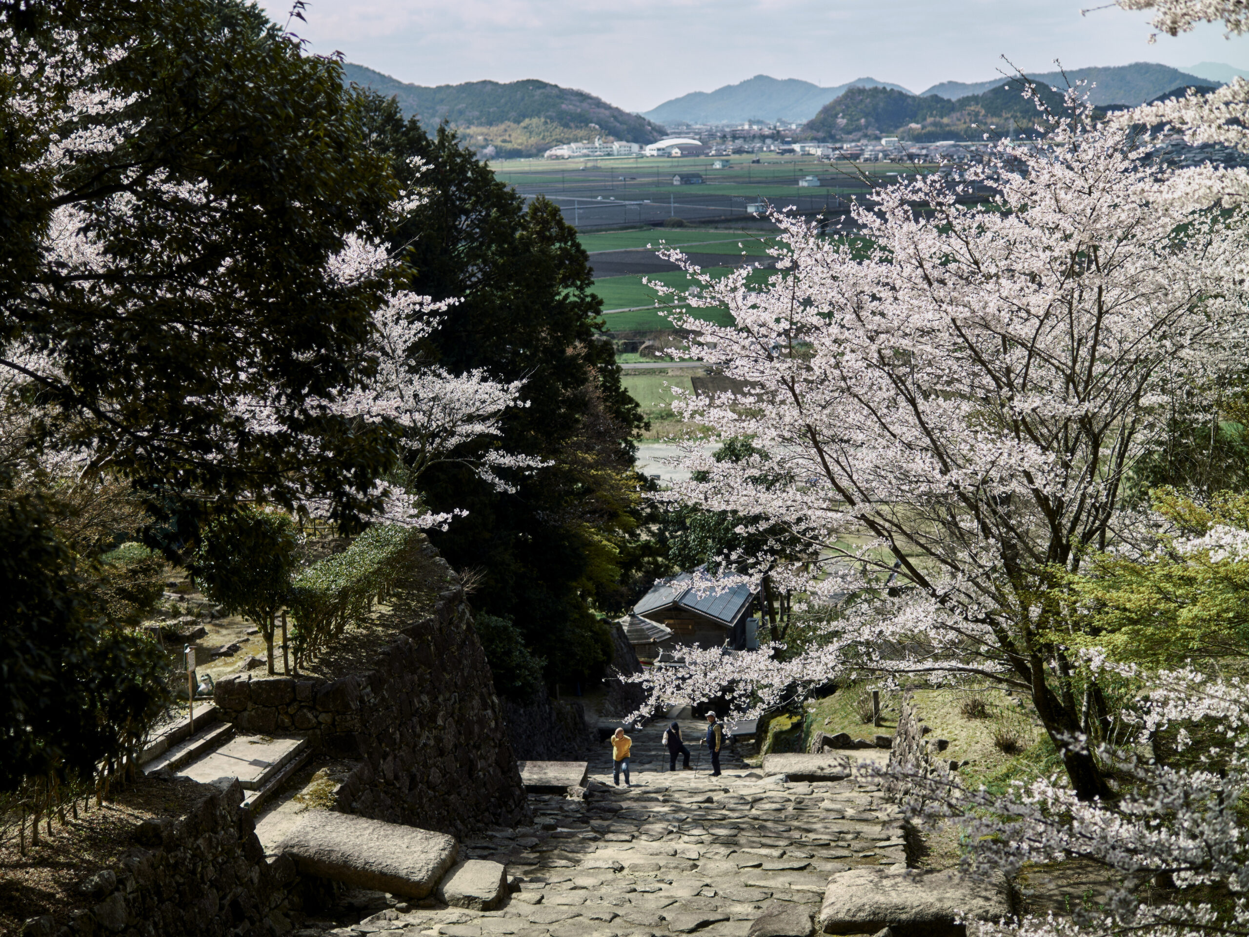 滋賀県へ。ここからはレンタカーの旅。【旧市町村一周の旅(滋賀県)|4月9日―734日目】