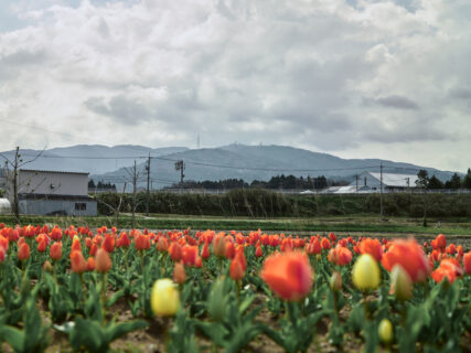 宝達志水町のふたつのまちへ。【旧市町村一周の旅（石川県）｜4月16日―741日目】